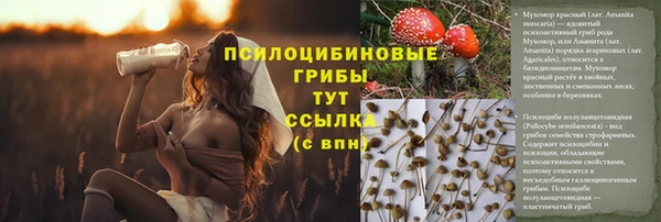2c-b Белоозёрский