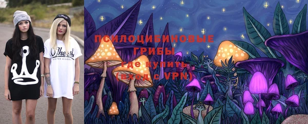 ГАЛЛЮЦИНОГЕННЫЕ ГРИБЫ Белокуриха